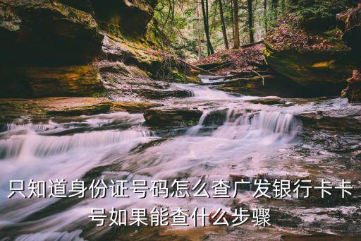 只知道身份證號碼怎么查廣發(fā)銀行卡卡號如果能查什么步驟
