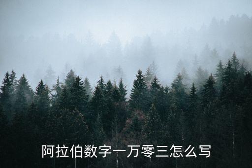 阿拉伯?dāng)?shù)字一萬零三怎么寫