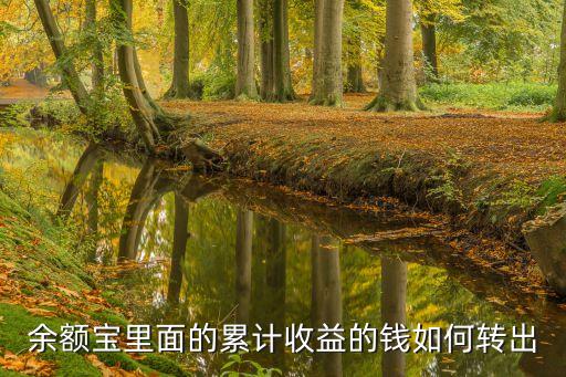 余額寶里面的累計(jì)收益的錢(qián)如何轉(zhuǎn)出