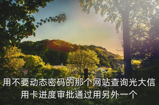 用不要?jiǎng)討B(tài)密碼的那個(gè)網(wǎng)站查詢光大信用卡進(jìn)度審批通過用另外一個(gè)