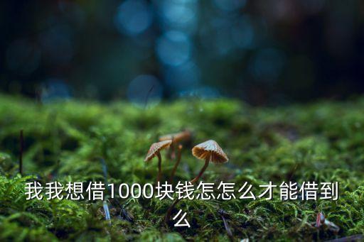 怎么快速借到1000塊錢，我我想借1000塊錢怎怎么才能借到么