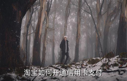 阿里巴巴信用卡支付怎么開通，淘寶賣家怎么開通信用卡支付功能