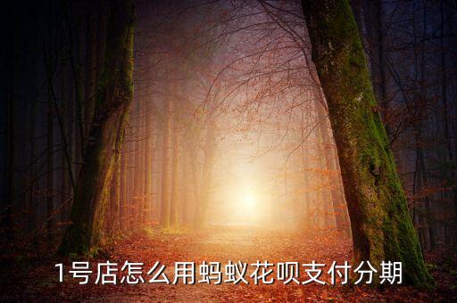1號店怎么用螞蟻花唄支付分期