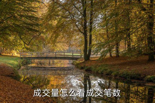 成交量怎么看成交筆數(shù)