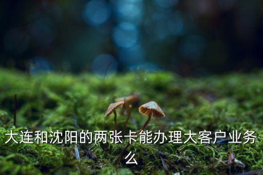 大連和沈陽的兩張卡能辦理大客戶業(yè)務么