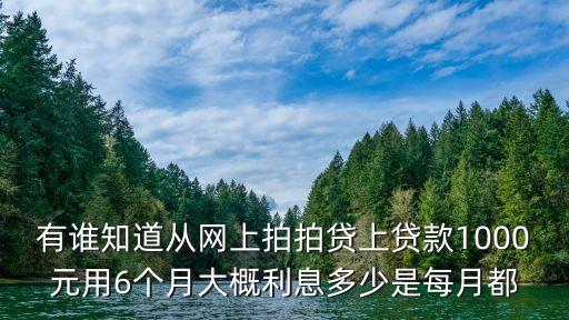 拍拍貸6個月利息怎么算，在拍拍貸借款5000分六個月還利息是多少