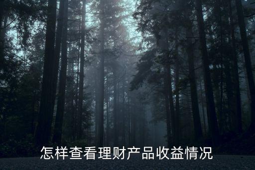 怎樣查看理財(cái)產(chǎn)品收益情況