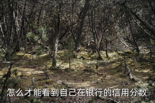 銀行綜合評分怎么查詢，怎么才能看到自己在銀行的信用分?jǐn)?shù)