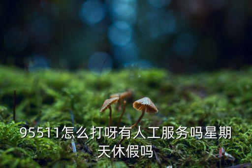 95511怎么打呀有人工服務(wù)嗎星期天休假嗎