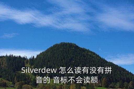 銀元怎么讀，銀元2字怎么拼音