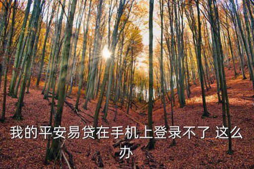平安易再貸怎么登陸，平安易貸app 出現(xiàn) 抱歉您無法在此設(shè)備登錄請在綁定用戶設(shè)備上登