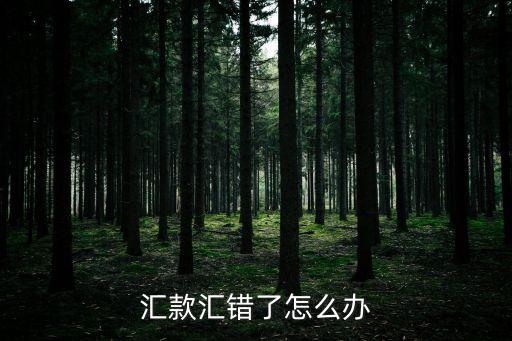 匯款匯錯(cuò)了怎么辦