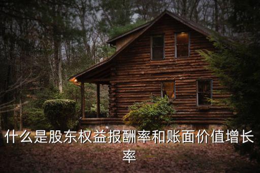 股東權益報酬率怎么算，權益收益率的計算