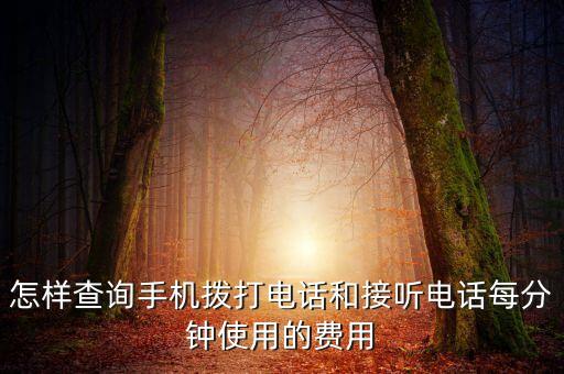 怎樣查詢手機(jī)撥打電話和接聽電話每分鐘使用的費(fèi)用