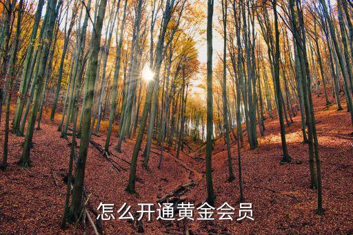 怎么開通黃金會員