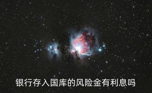 銀行存入國庫的風險金有利息嗎