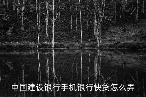 中國建設(shè)銀行手機(jī)銀行快貸怎么弄