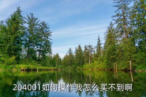 204001如何操作我怎么買不到啊