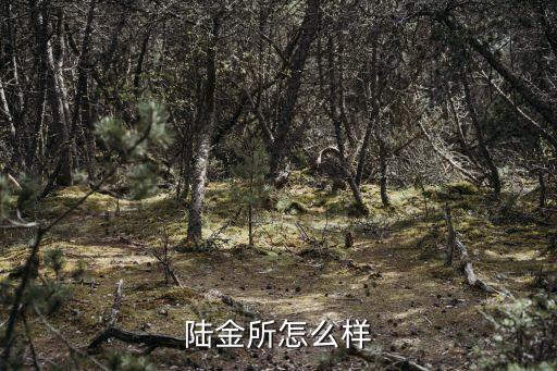 陸金所怎么樣
