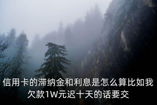 信用卡的滯納金和利息是怎么算比如我欠款1W元遲十天的話要交