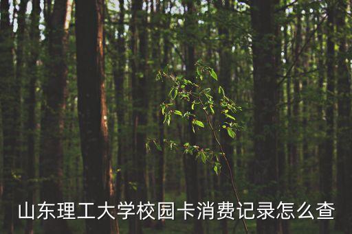 校園卡怎么查消費情況，山東理工大學校園卡消費記錄怎么查