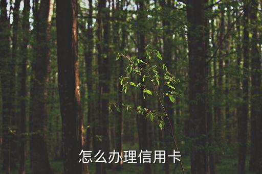 怎么辦理信用卡
