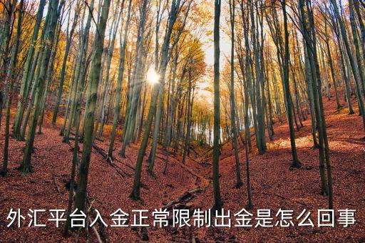 外匯平臺(tái)入金正常限制出金是怎么回事