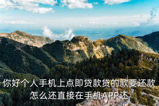 你好個(gè)人手機(jī)上點(diǎn)即貸款貸的款要還款怎么還直接在手機(jī)APP還