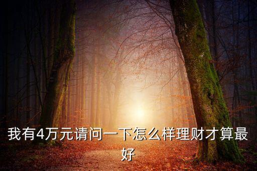 4萬怎么理財(cái)，手頭有4萬元余錢怎么理財(cái)