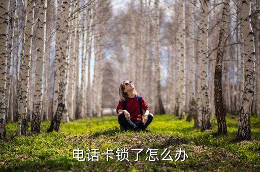電話卡鎖了怎么辦