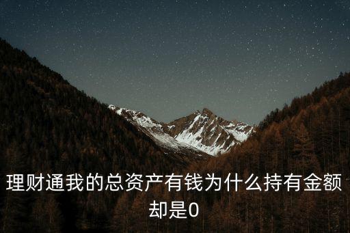 理財通我的總資產(chǎn)有錢為什么持有金額卻是0