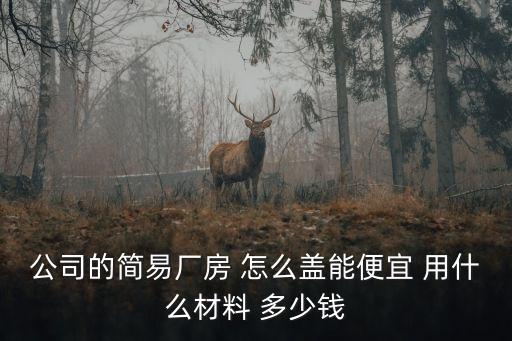 公司的簡(jiǎn)易廠(chǎng)房 怎么蓋能便宜 用什么材料 多少錢(qián)