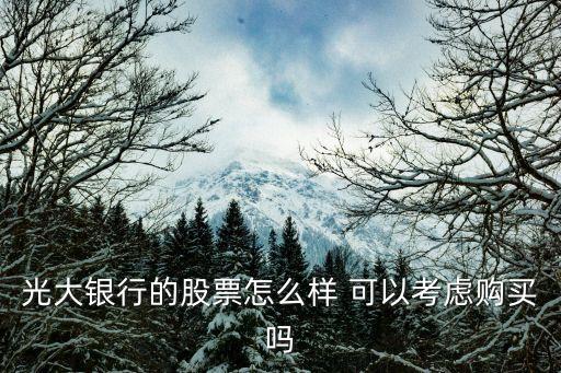 光大銀行的股票怎么樣 可以考慮購買嗎