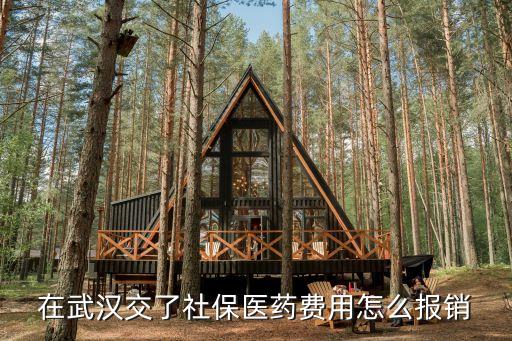 在武漢交了社保醫(yī)藥費(fèi)用怎么報(bào)銷