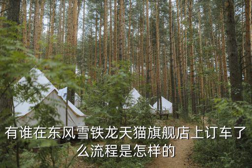 天貓?jiān)趺促I(mǎi)車(chē)，有誰(shuí)在東風(fēng)雪鐵龍?zhí)熵埰炫灥晟嫌嗆?chē)了么流程是怎樣的