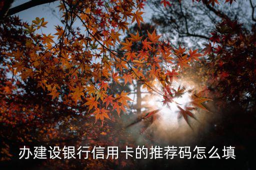 信用卡推存碼怎么填，信用卡申請(qǐng)的推存碼是什么