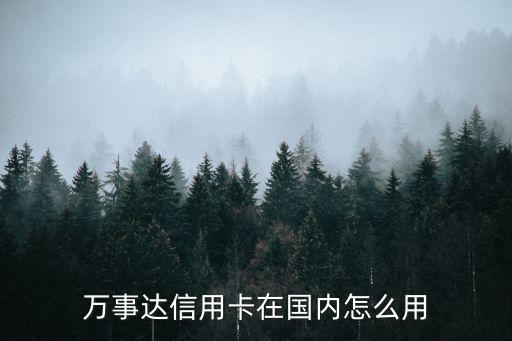 萬事達(dá)信用卡在國內(nèi)怎么用