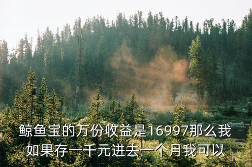 鯨魚(yú)寶的萬(wàn)份收益是16997那么我如果存一千元進(jìn)去一個(gè)月我可以