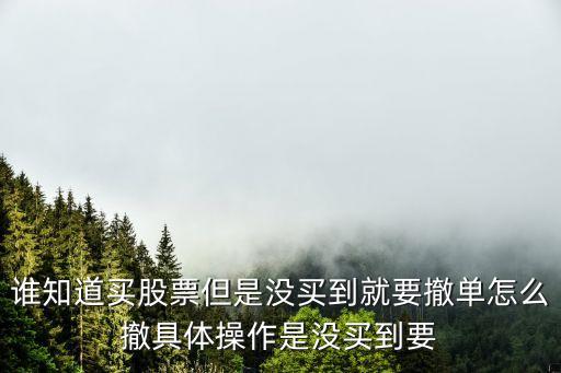 股票怎么取消撤單，同花順如何取消撤單委托
