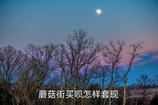 蘑菇街上的買唄怎么用，蘑菇街買唄怎么套現(xiàn)啊