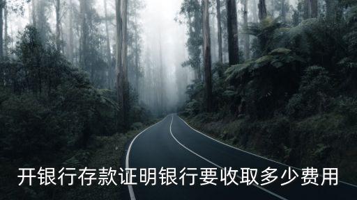 開銀行存款證明銀行要收取多少費用