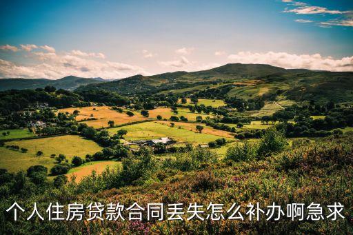 個人住房貸款合同丟失怎么補辦啊急求