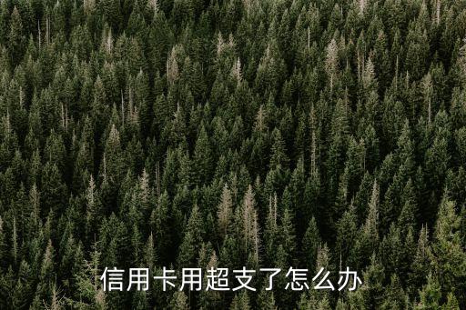 信用卡用超支了怎么辦