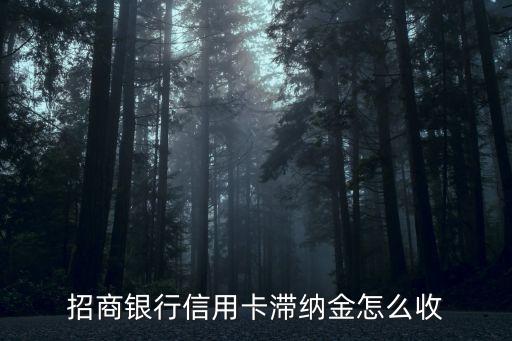 招行滯納金怎么算，招行信用卡凍結(jié)之后滯納金怎么算