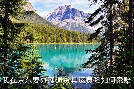 京東退貨運(yùn)費(fèi)險(xiǎn)怎么退，我在京東要辦理退貨其運(yùn)費(fèi)險(xiǎn)如何索賠
