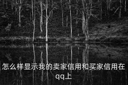 怎么樣顯示我的賣家信用和買家信用在qq上