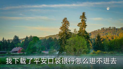 怎么進(jìn)平安口袋銀行，我下載了平安口袋銀行怎么進(jìn)不進(jìn)去