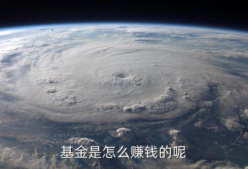 基金是怎么賺錢的呢