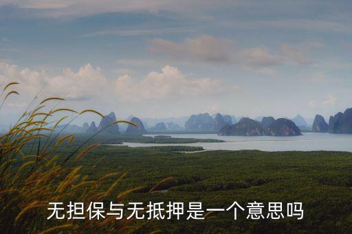 信用抵押 無擔(dān)保怎么回事，農(nóng)行的無擔(dān)保貸款怎么回事