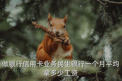 做銀行信用卡業(yè)務(wù)民生銀行一個(gè)月平均拿多少工資